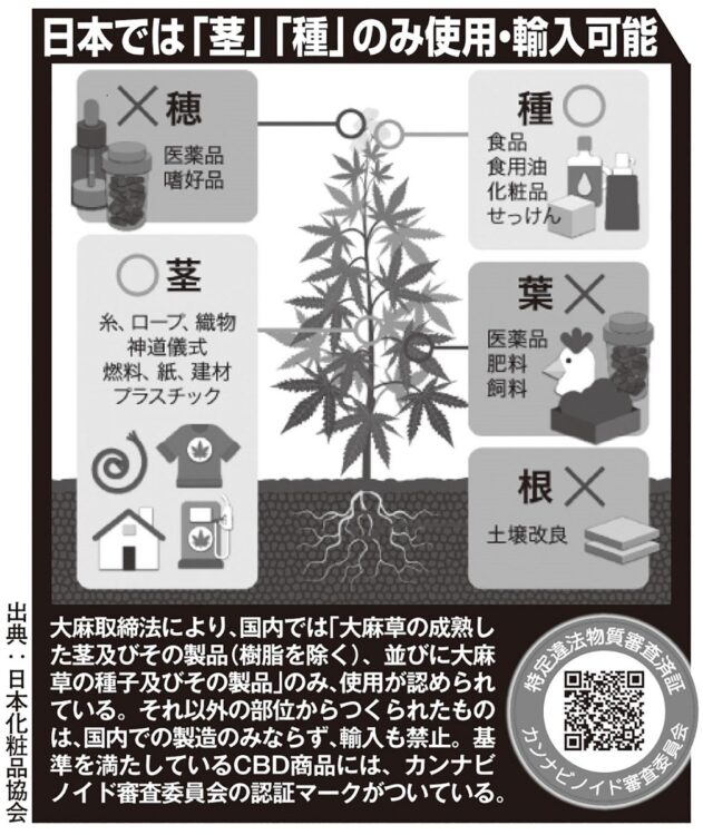 大麻