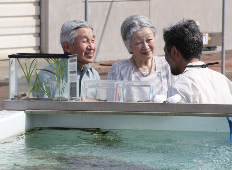 アマモについて説明を受けられた（2011年6月、神奈川県三浦市）