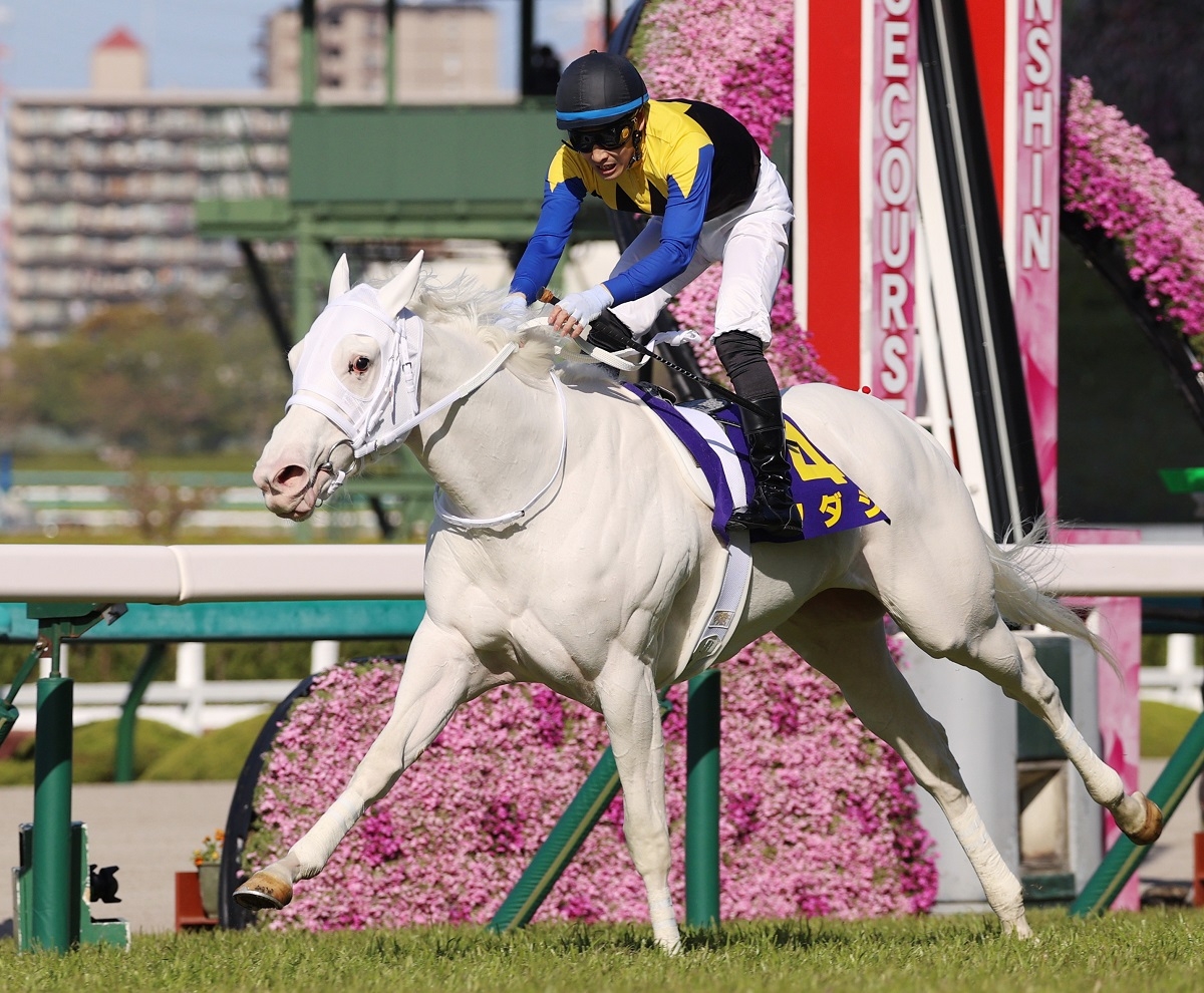 チャンピオンズc 桜花賞馬ソダシの ダート適性 は信頼できるのか Newsポストセブン