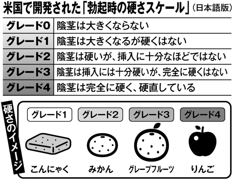 米国で開発された「勃起時の硬さスケール」