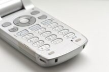 「0円ガラケー」で月3000円引き落とし 身に覚えのない請求のカラクリ