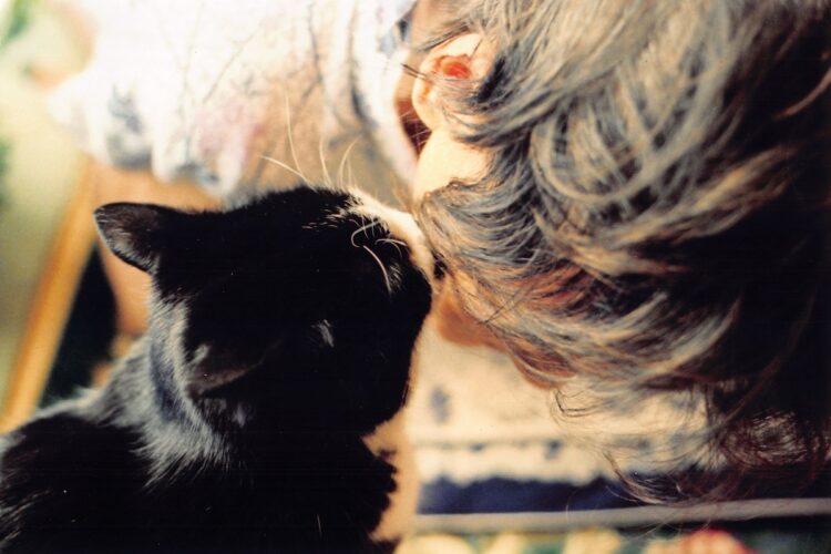 おばあちゃんに話しかける猫。『ぼくは独り暮らしの老人の家に弁当を運ぶ』より