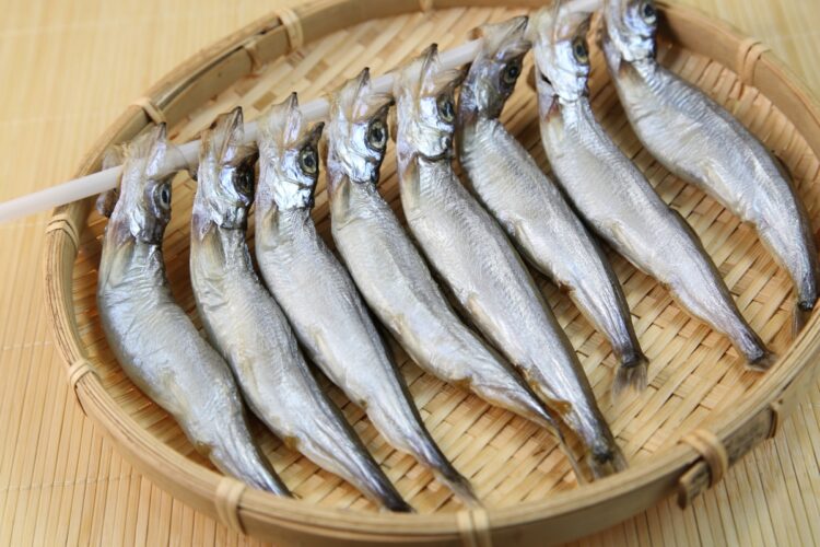 栄養たっぷりのししゃも