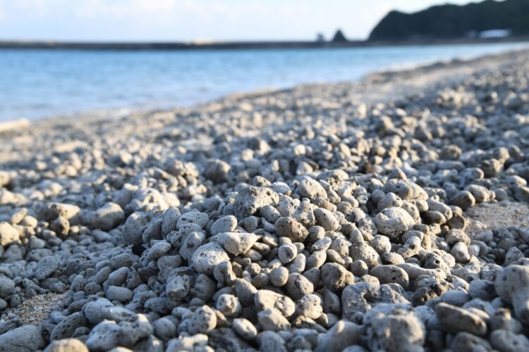 漂着した大量の軽石（時事通信フォト）