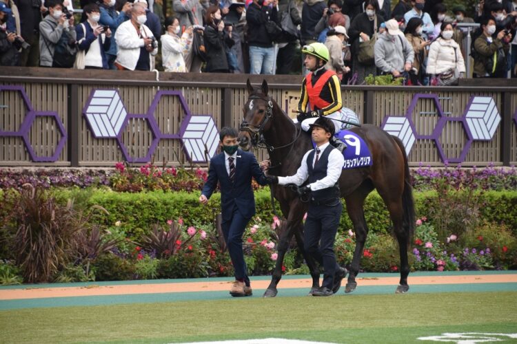 天皇賞秋出走時のグランアレグリア