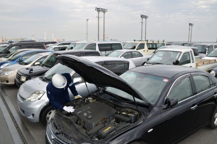2017年、横浜市の本牧ふ頭で船積前に国産中古車を検査する税関職員（時事通信フォト）