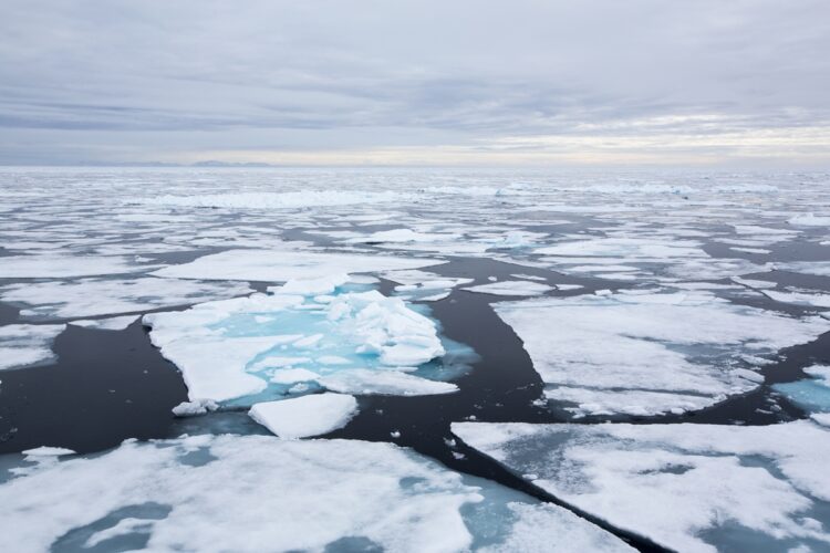 水温1度の上昇は、気温に換算すると5度の上昇に匹敵するという（Getty Images）