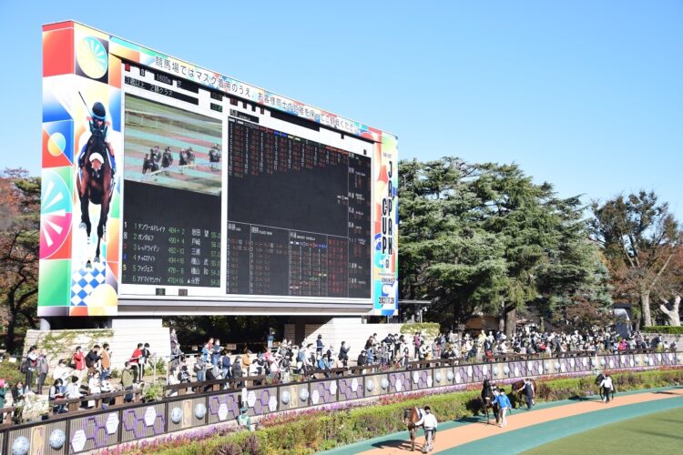 東京競馬場のパドック