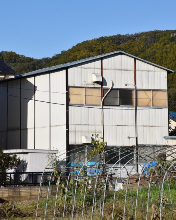 劣悪な環境で多数の犬が飼育されていたとされる施設。長野県松本市（時事通信フォト）