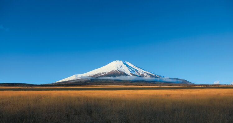 （2019年撮影　山梨・山中湖村　冨塚晴夫）