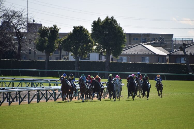 中山競馬場の4コーナーから最後の直線へ