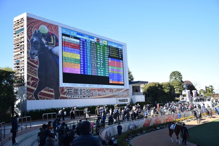 中山競馬場のパドック