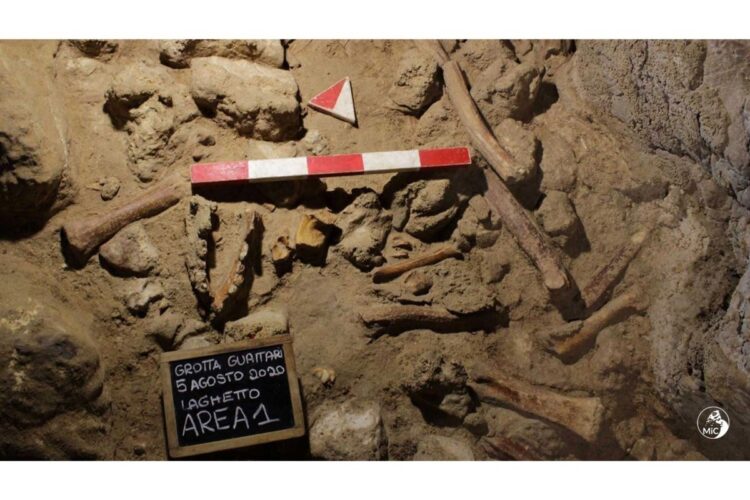 2021年5月、イタリアの洞窟で発見されたネアンデルタール人の化石＝イタリア文化財・文化活動・観光省提供（AFP=時事）
