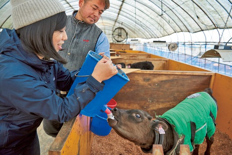 生後1か月の仔牛に