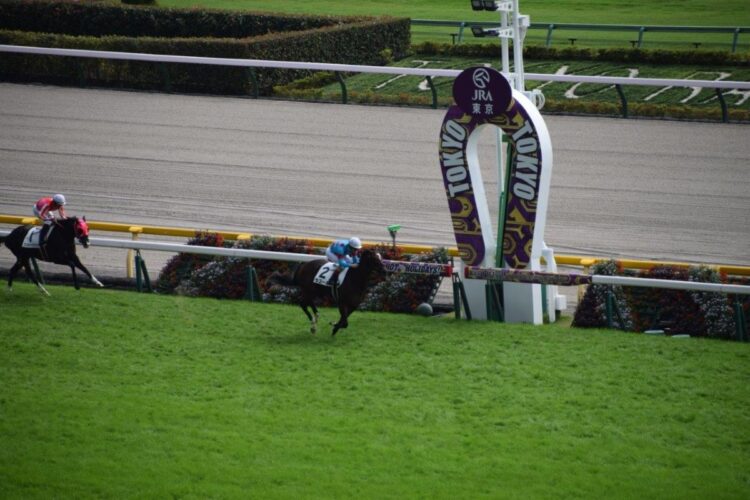 ラスールが快勝した新馬戦