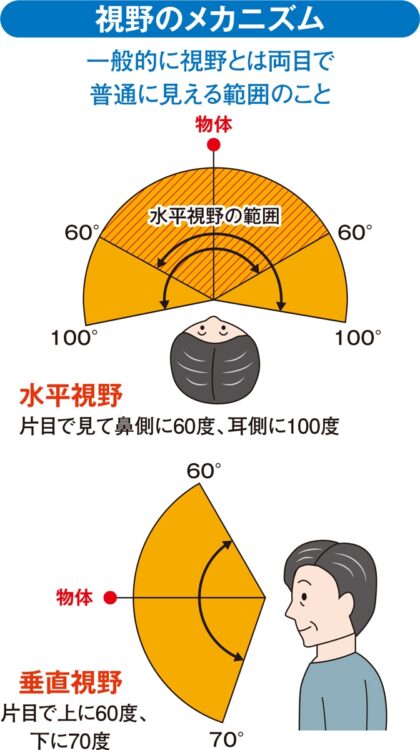 視力回復を目指す「人差し指遠近トレーニング」「眼球ストレッチ」のやり方｜NEWSポストセブン Part 2