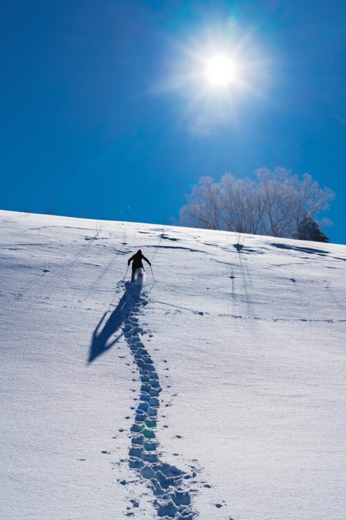 長野県・志賀高原（撮影／高橋智裕）