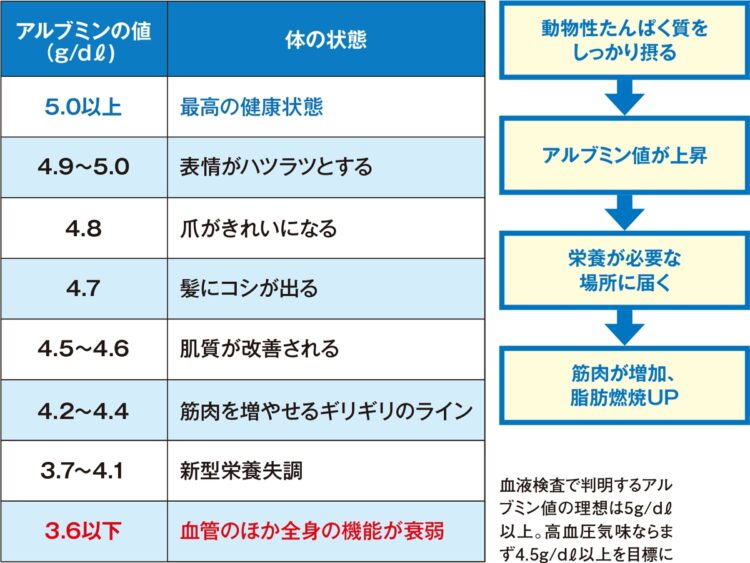 肉と魚は精力的に摂取したい