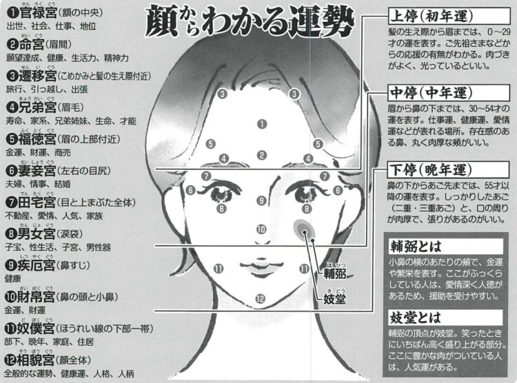 運勢を表す「12宮」と呼ばれる顔のエリア