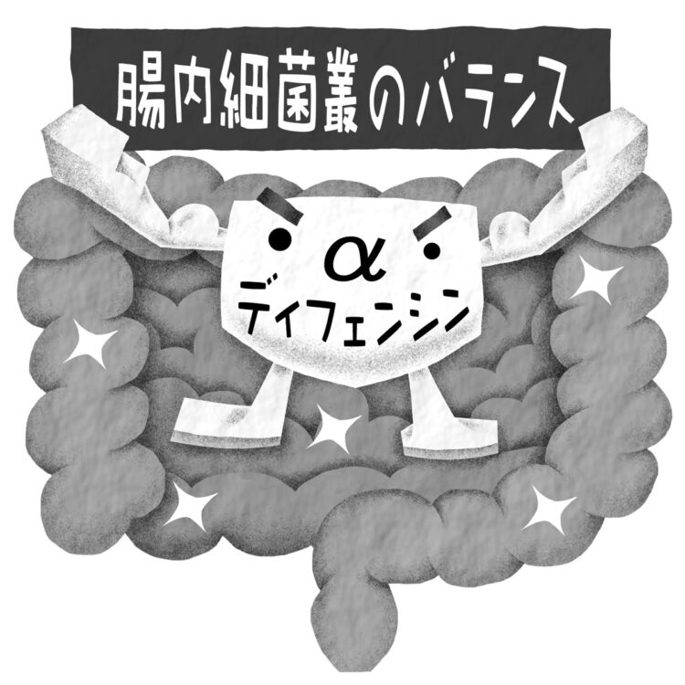 小腸のパネト細胞から分泌される「αディフェンシン」がうつ病などにも関係しているという（イラスト／いかわ やすとし）