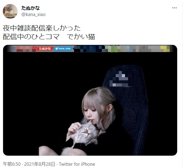 ゲーム配信サービスで、雑談配信もたびたび行っていた(たぬかな公式Twitterより)