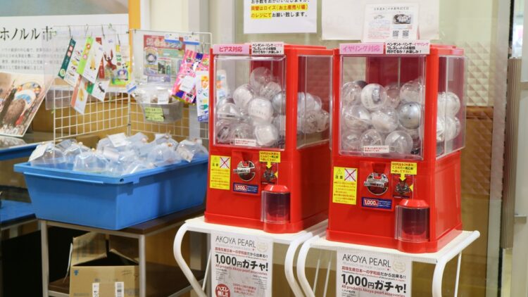 あこや真珠が1個1000円の破格