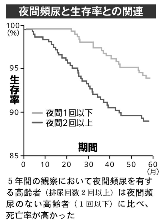 夜間頻尿と生存率との関連