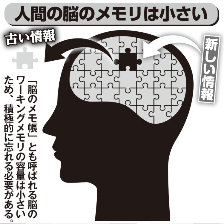 人間の脳のメモリは小さい。「脳のメモ帳」とも呼ばれる脳のワーキングメモリの容量は小さいため、積極的に忘れる必要がある（写真／PIXTA）