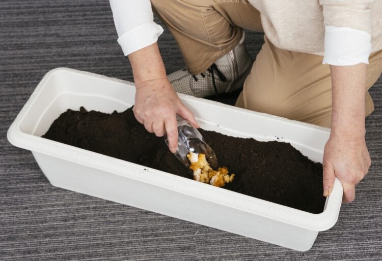 食べ残しや野菜くずは土の中に