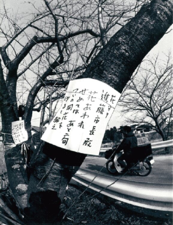 短歌が木に吊るされていた1984年当時の様子