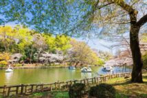 吉祥寺、恵比寿、中目黒…おしゃれタウンに住んでみてわかった「想像と違う！」