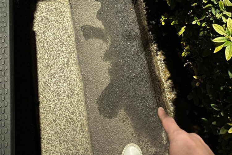 立ちション跡を指差しで説明