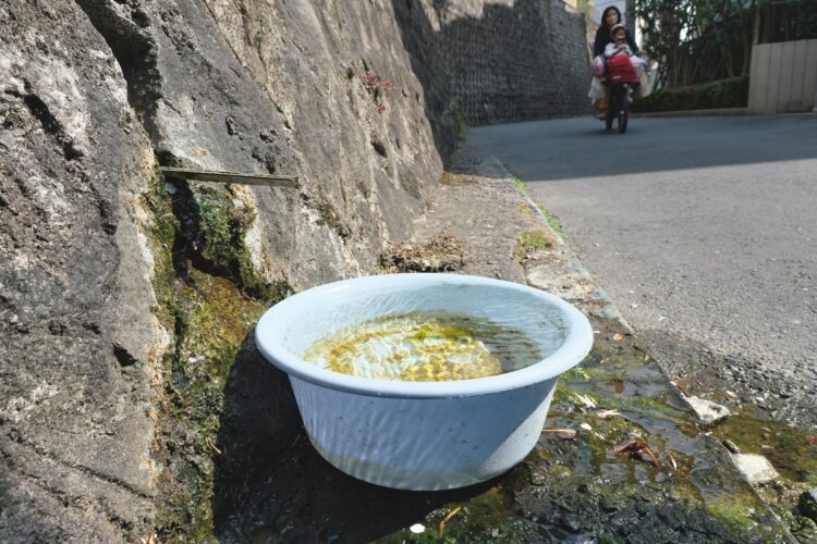 湧き水/路地脇にそびえる小日向台(通称・久世山)の崖の擁壁からは湧き水が流れ出ており、水を受ける洗面器が置かれている。音羽1丁目2付近