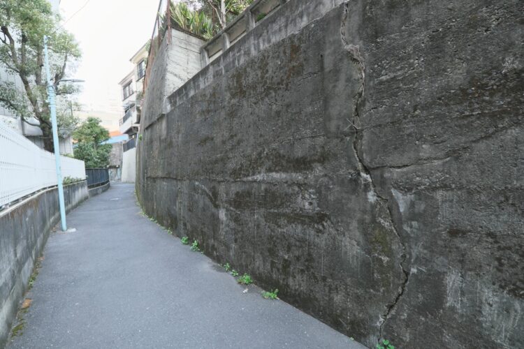 路地/高台の下を蛇行する。「川の水を使い江戸時代後期に始まった製紙業が盛んだったエリアです」(本田さん)。音羽1丁目16、大塚1丁目11の境