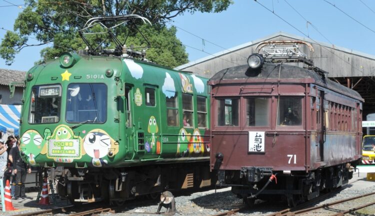 2013年に行われた「熊本電鉄電車ふれあいまつり」では、通称「青ガエル」元東急5000系電車（左）や昭和3年製造の「モハ７１号」車両（右）などのレトロな電車が熊本電気鉄道の北熊本駅車両工場で展示された（時事通信フォト）