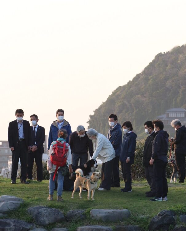 犬とも触れ合われる美智子さま