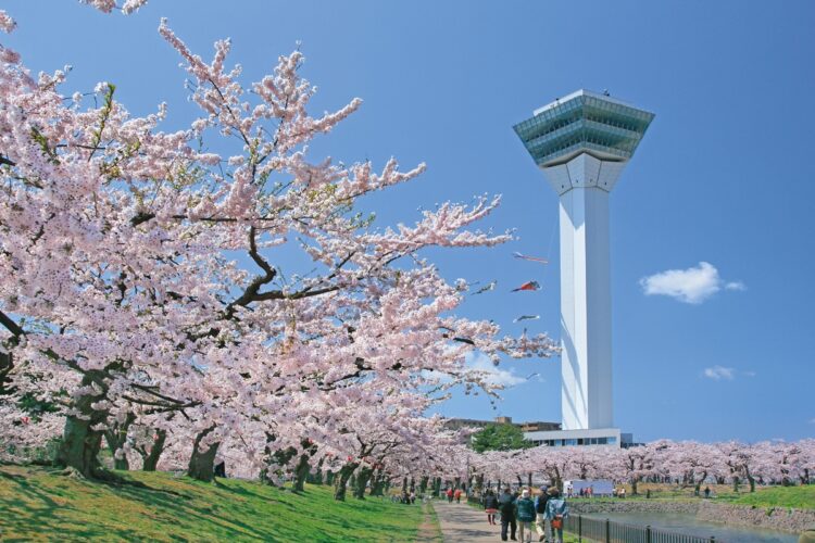 函館駅前から市電などで行ける五稜郭は桜の名所（写真＝後藤昌美／AFLO）