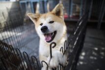 (時事通信フォト)