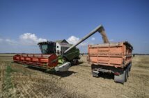クリミア地方の小麦畑。2022年は収穫ができるのか流通するのかも不明（SPUTNIK/時事通信フォト）
