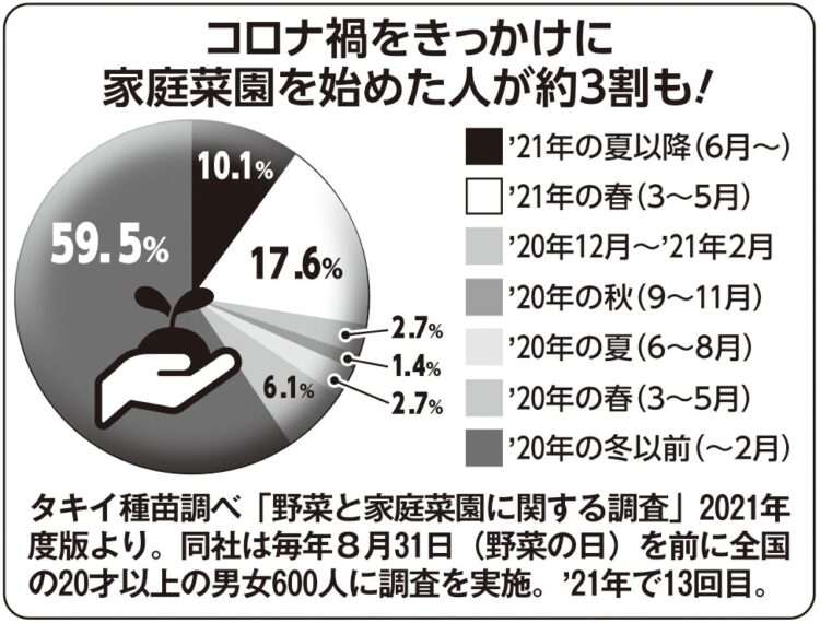 コロナ禍がきっかけで家庭菜園が人気に