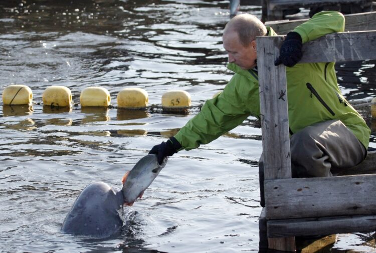 2009年、イルカの飼育施設を視察したプーチン大統領（写真／アフロ）