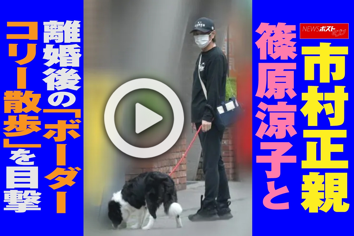 動画 市村正親 篠原涼子と離婚後の ボーダーコリー散歩 を目撃 Newsポストセブン