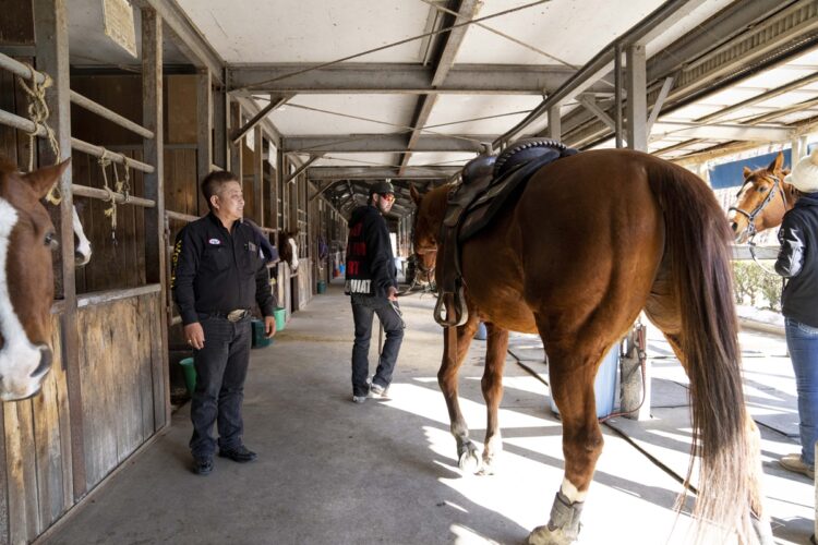 役者が乗っても演技ができる馬は何が違う？