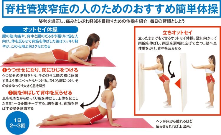 立ちオットセイ、オットセイ体操のやり方