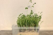 「せっかく道具も揃えたのに…」コロナ禍で始めた“新しい趣味”の残念な現在地