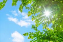 気象予報士も「春と秋が短くなった」 1年を夏と冬に二分するなら区分はどうなる?