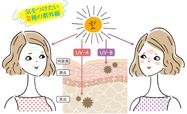 2種類の紫外線に気を付けたい