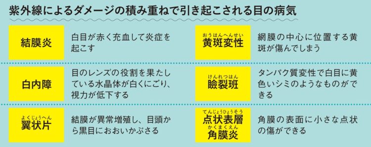 紫外線によるダメージの積み重ねで引き起こされる目の病気