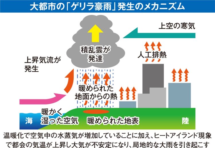 大都市の「ゲリラ豪雨」発生のメカニズム