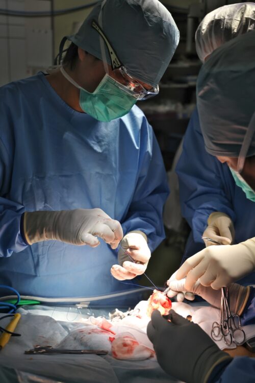 日本で最も多くの手術を手がけている医師の1人に数えられる。手術は丁寧で美しく、速い。「これからも、ずっと修練です」と語る